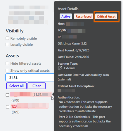 Asset details showing a "Critical Asset" label.