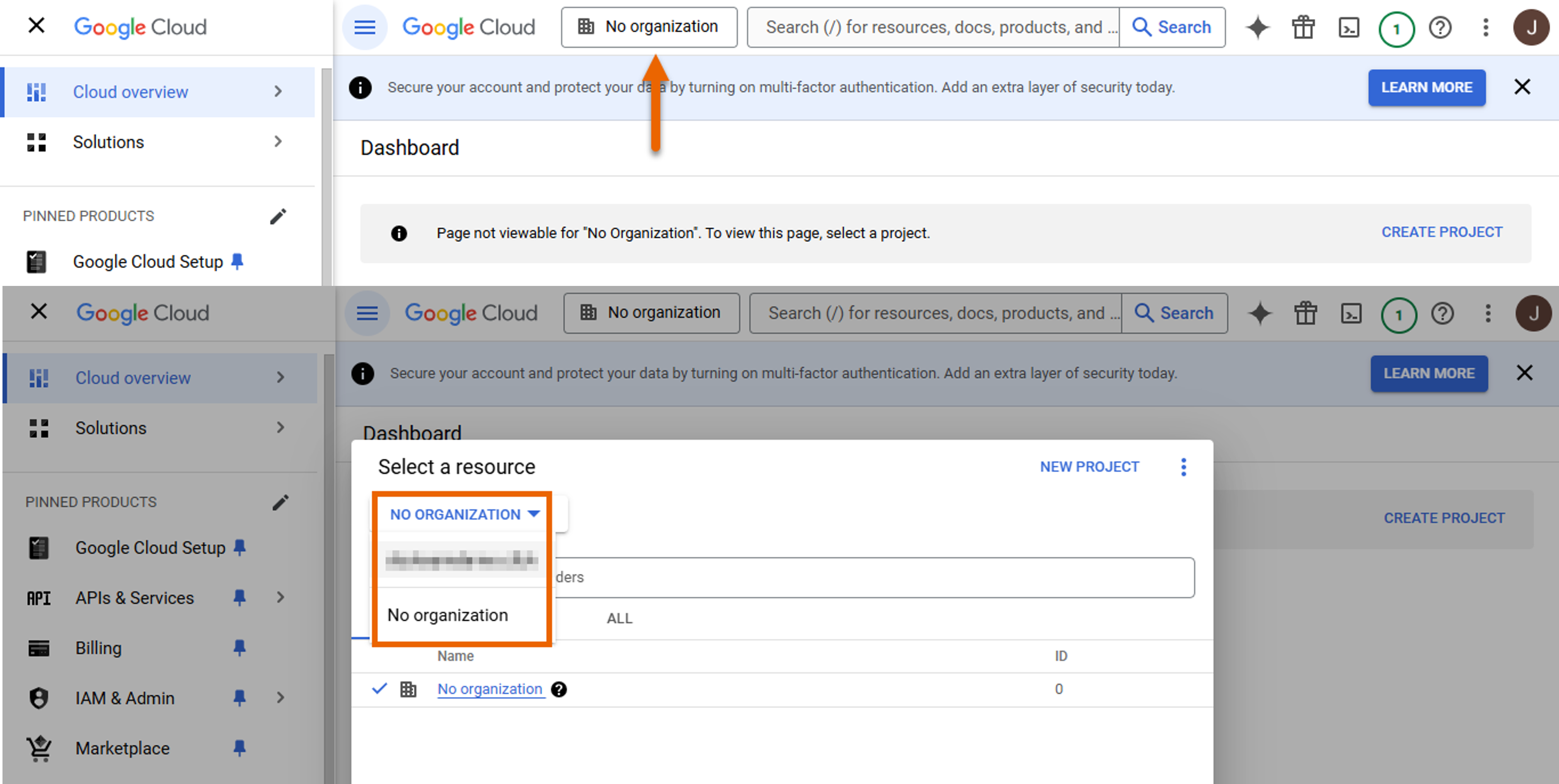 Select your organization in Google Cloud.