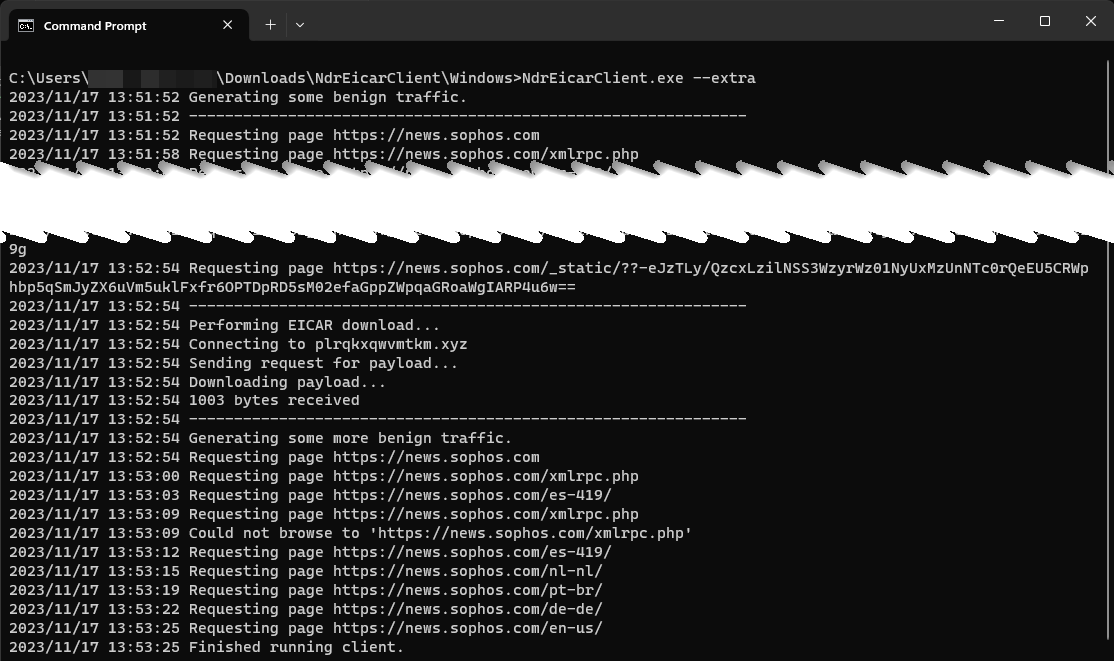 コマンド出力で追加のトラフィックを含む NDR テスト。