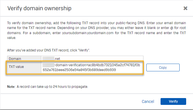 用於驗證網域擁有權的 TXT 值。