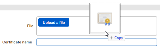 Dropping a certificate file in the File area.