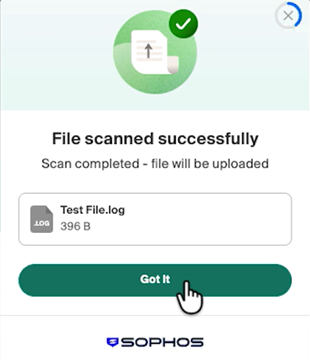 Window showing "File scanned successfully".