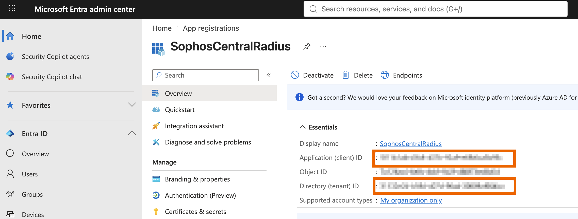 Application Overview page showing the client ID and tenant ID.