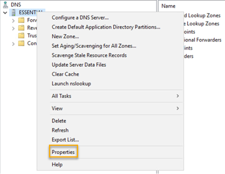 Go to the DNS properties page in Windows Server.