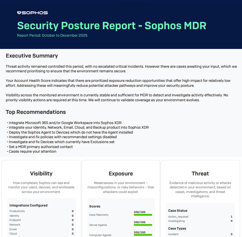 Executive Summary e raccomandazioni del report sul profilo di sicurezza.