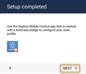 2番目の「次へ」ボタン。