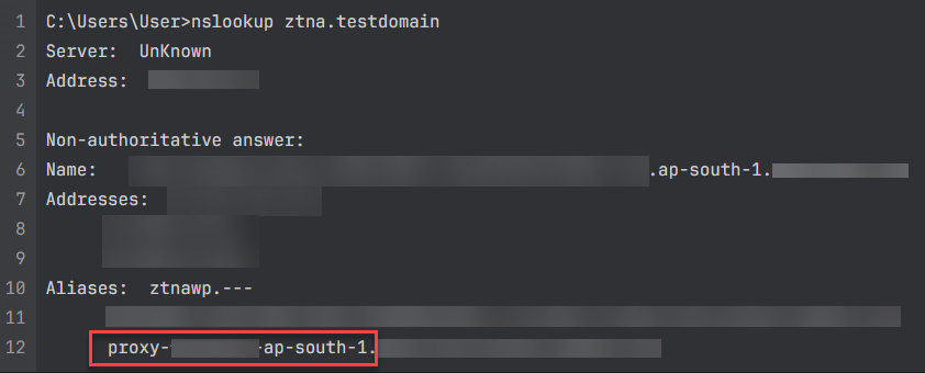 DNS resolution output.