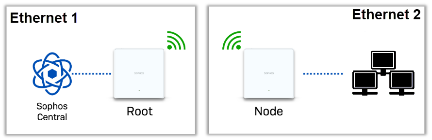 Network bridge diagram.