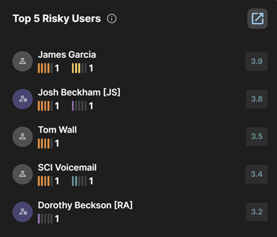 Top Risky Users widget.