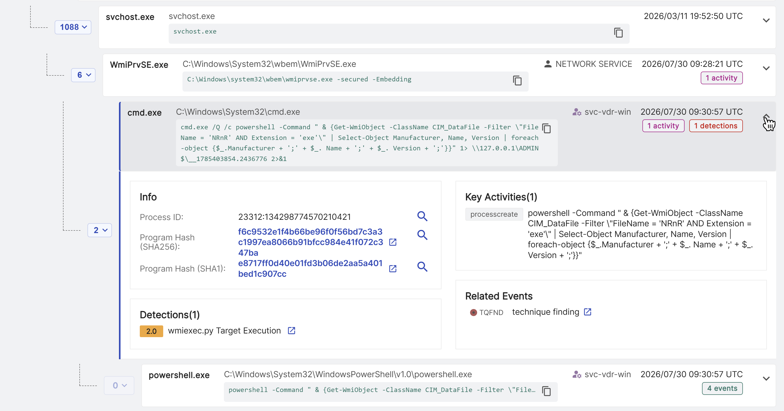 View related detections and key activities.