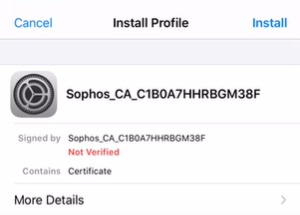 Install the CA on the iOS device.
