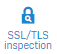 Icon showing decrypted connections.