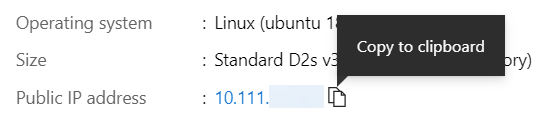 Microsoft Azure VM host public IP.