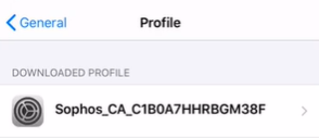 Download the CA to an iOS device.