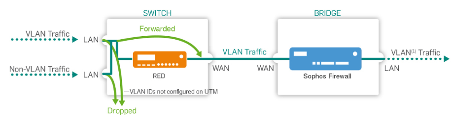 Network diagram: Tagged (trunk port).