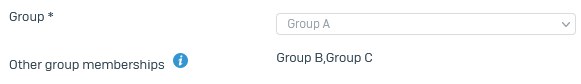 Other group membership for users.