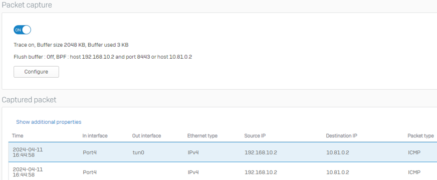 Packet capture for end-to-end SSL VPN traffic.