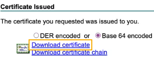 Encoding and download.
