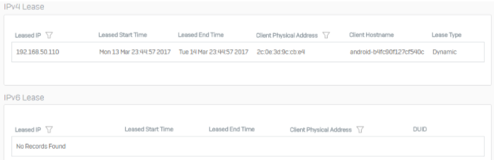 DHCP leased IP addresses in use.