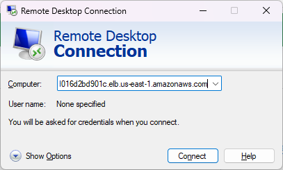 Auto Scaling RDP connection.