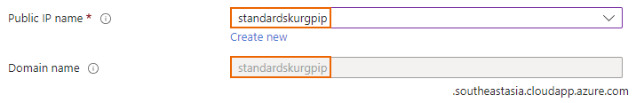 Standard SKU public IP address domain.