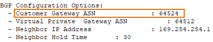 Customer gateway ASN.