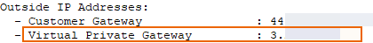 AWS virtual private gateway.