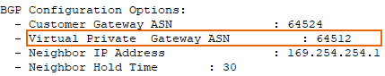 Virtual private gateway ASN.
