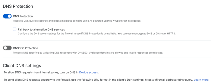 DNS Protection without fallback.