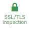 Icon showing connections established but not decrypted.